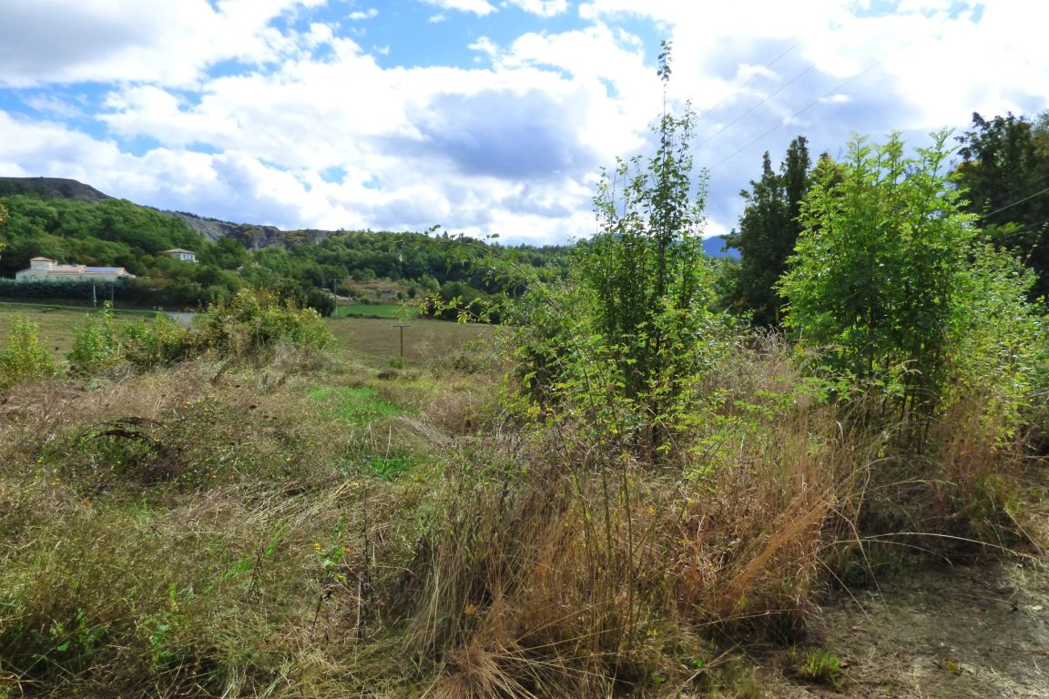 terrain en vente sur Châteauvieux (05000)