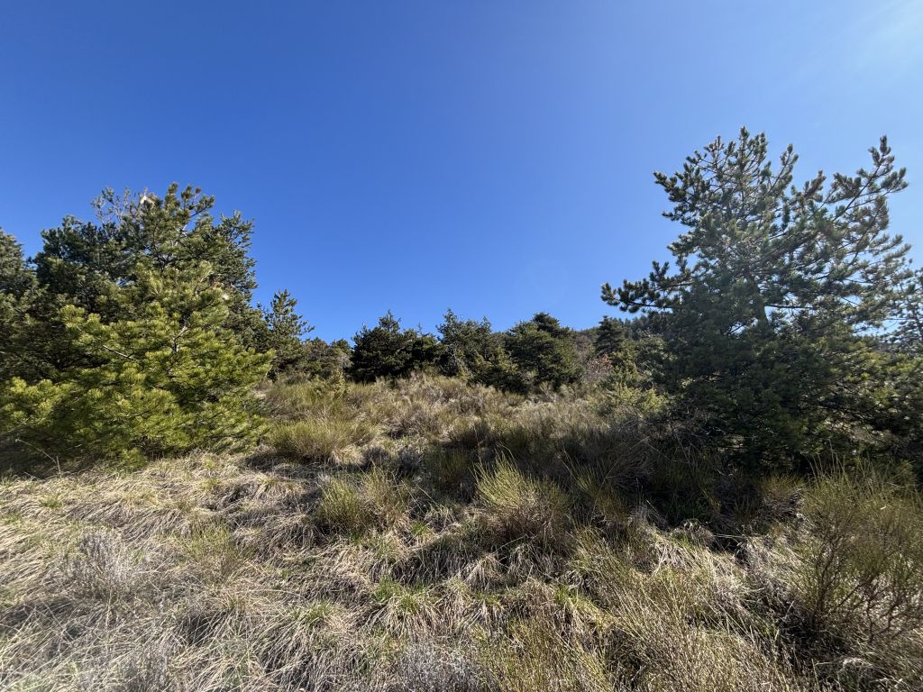 terrain en vente sur Venterol (05130)
