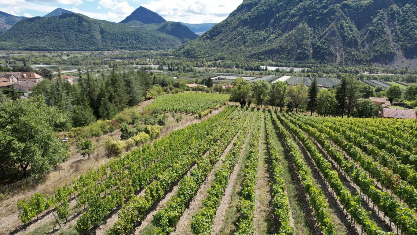 propriété 4 pièces en vente sur Remollon (05190)