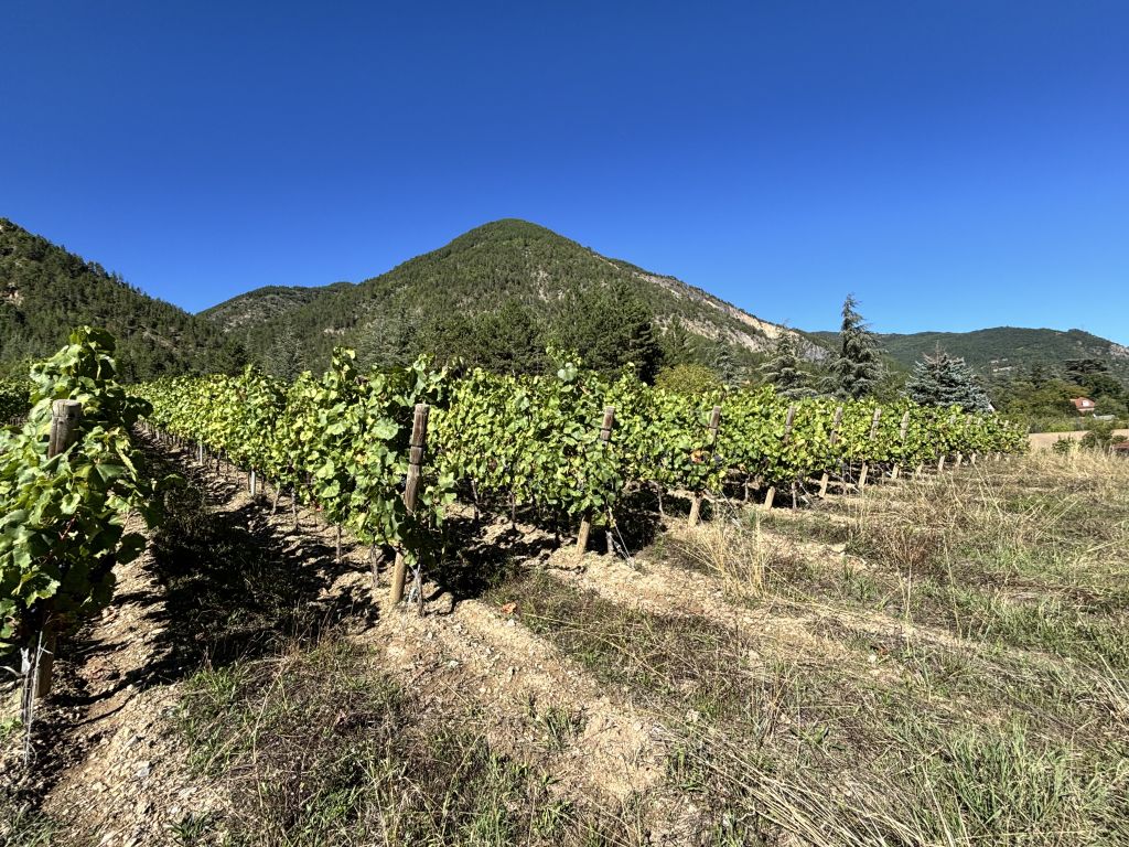 propriété 4 pièces en vente sur Remollon (05190)