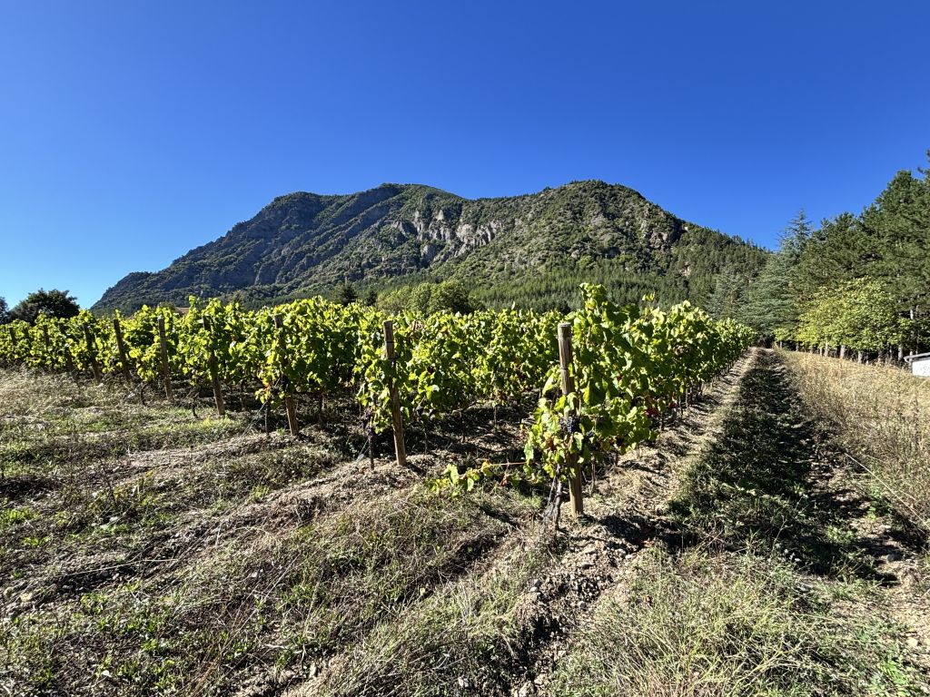 propriété 4 pièces en vente sur Remollon (05190)