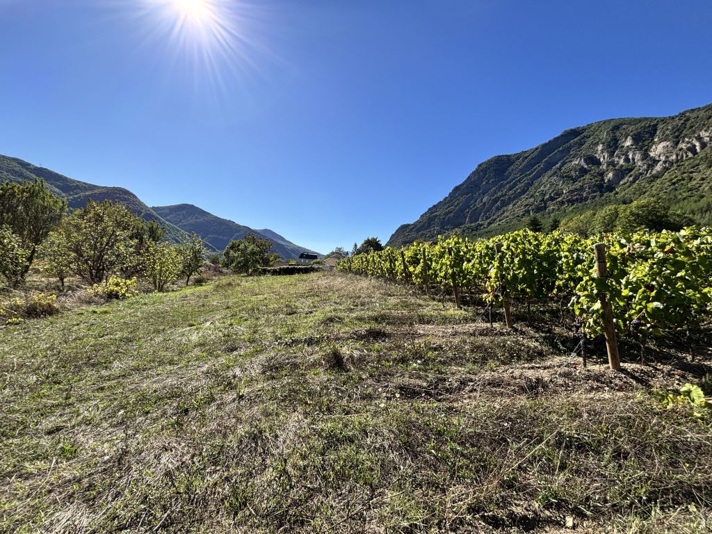 propriété 4 pièces en vente sur Remollon (05190)