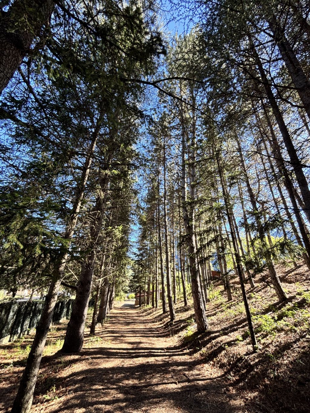 propriété 4 pièces en vente sur Remollon (05190)