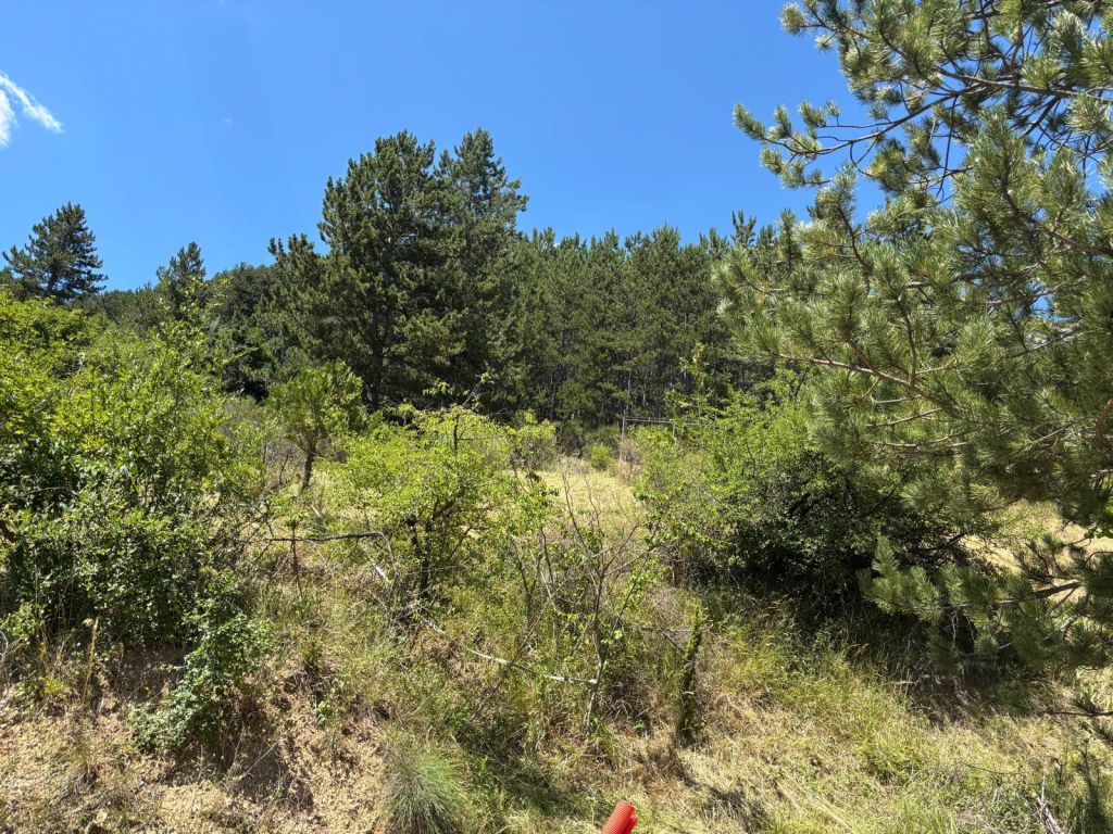 maison 3 pièces en vente sur Serres (05700)