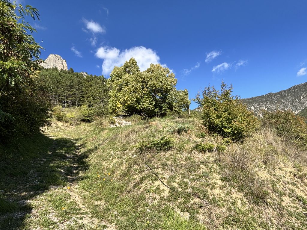 maison 3 pièces en vente sur Serres (05700)