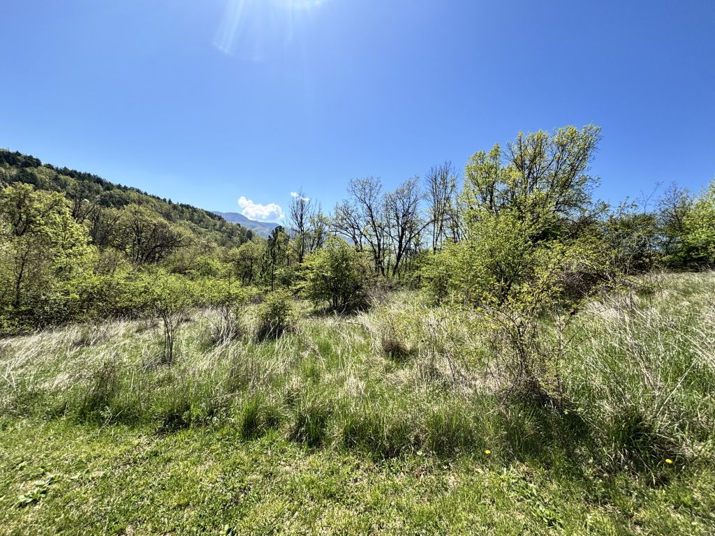 terrain en vente sur Châteauvieux (05000)
