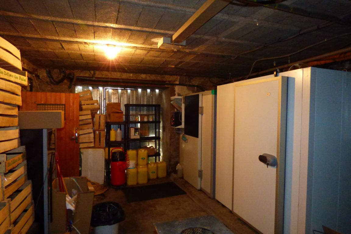 local d'activité en vente sur Saint-Jean-Saint-Nicolas (05260)